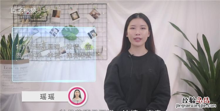 牡丹花语,白色牡丹鸟花语