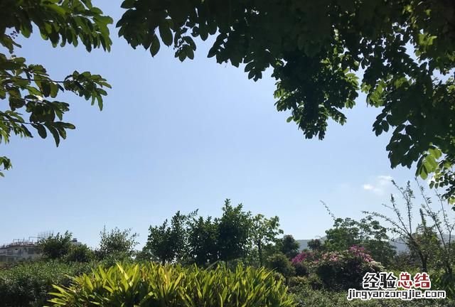 boss直聘前程无忧智联招聘哪个好