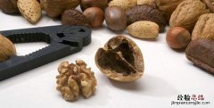 核桃的功效与作用，核桃分心木的功效有哪些