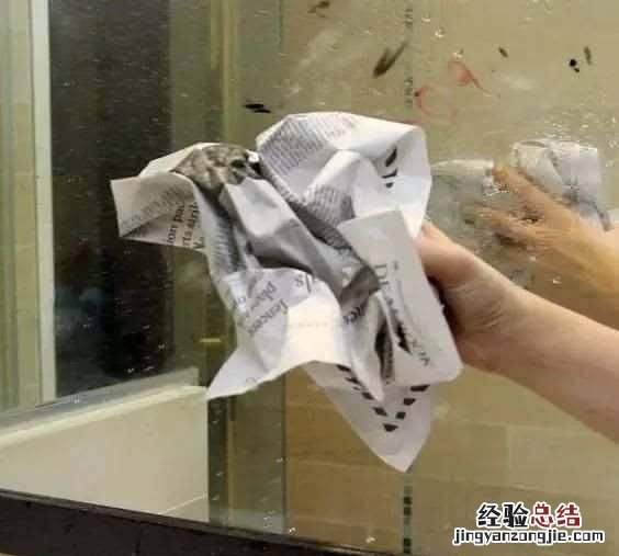 废报纸变废为宝可以变成什么东西