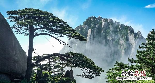 岁寒三友是指哪三个植物，“岁寒三友分别是哪三种植物岁寒三友”