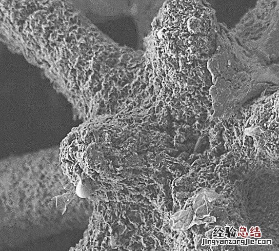 石墨烯气凝胶的优缺点,石墨烯气凝胶