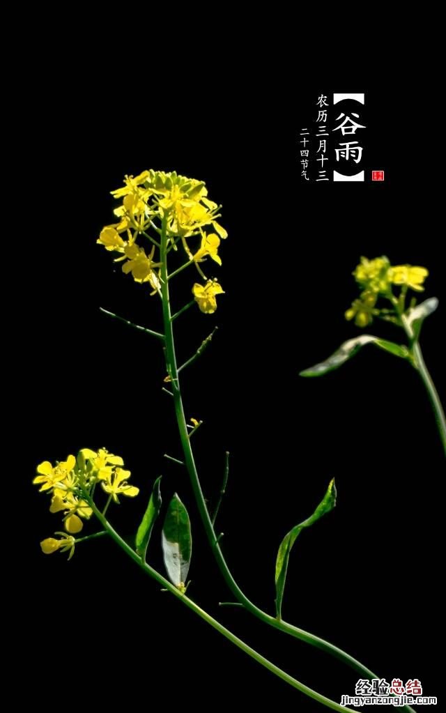 这种图片效果壁纸怎么做出来的呢