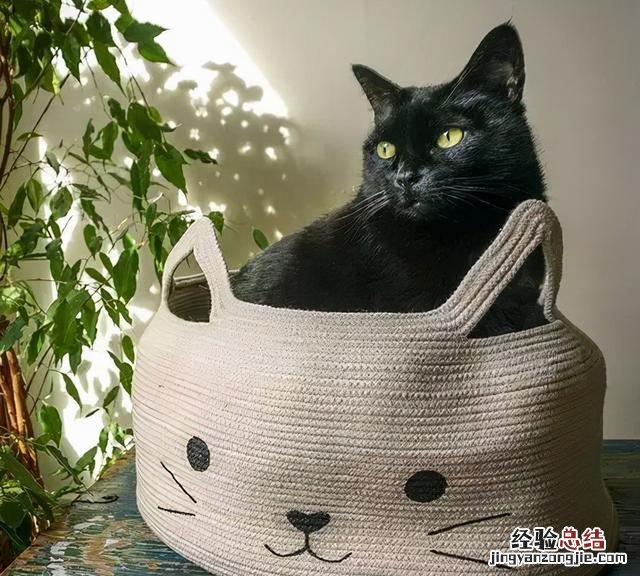 怎么编绳子,怎么编绳子打结方法