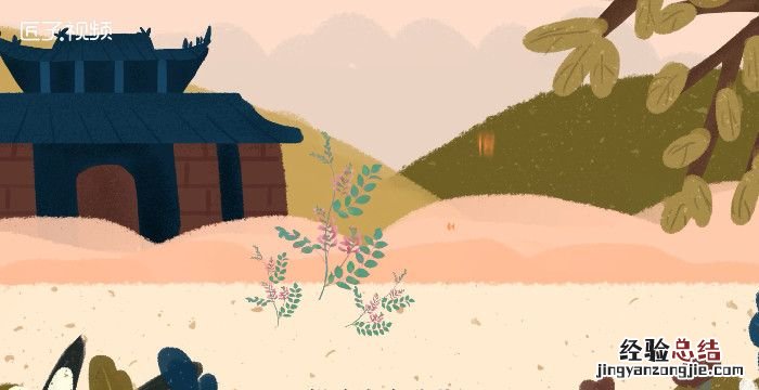 豆蔻年华是几岁，豆蔻年华是指多少岁古稀不惑而立耳