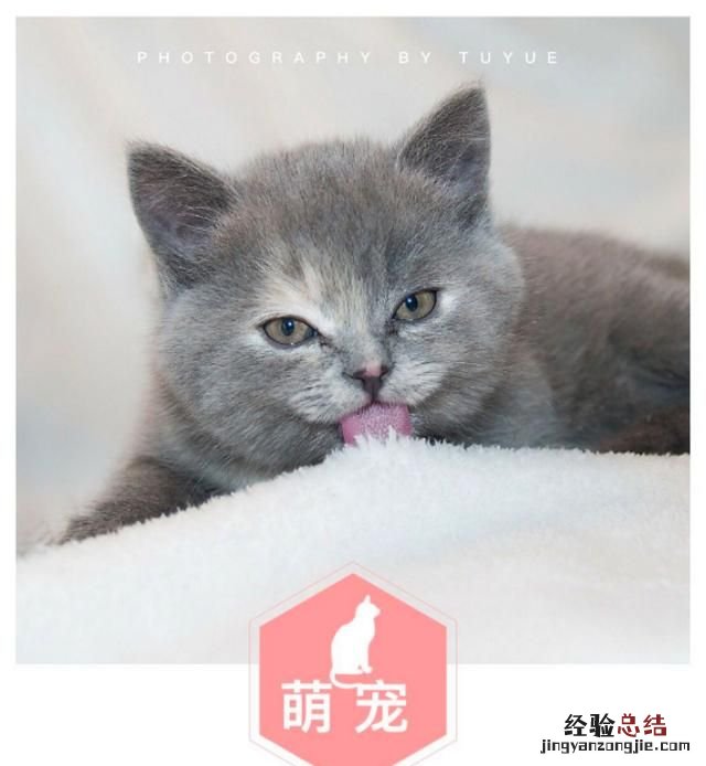 如何在图片底层加框 如何给图片加边框