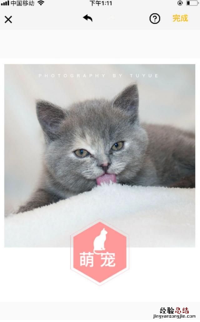 如何在图片底层加框 如何给图片加边框