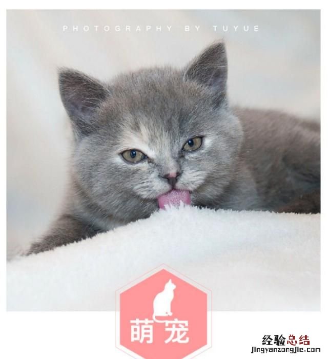 如何在图片底层加框 如何给图片加边框