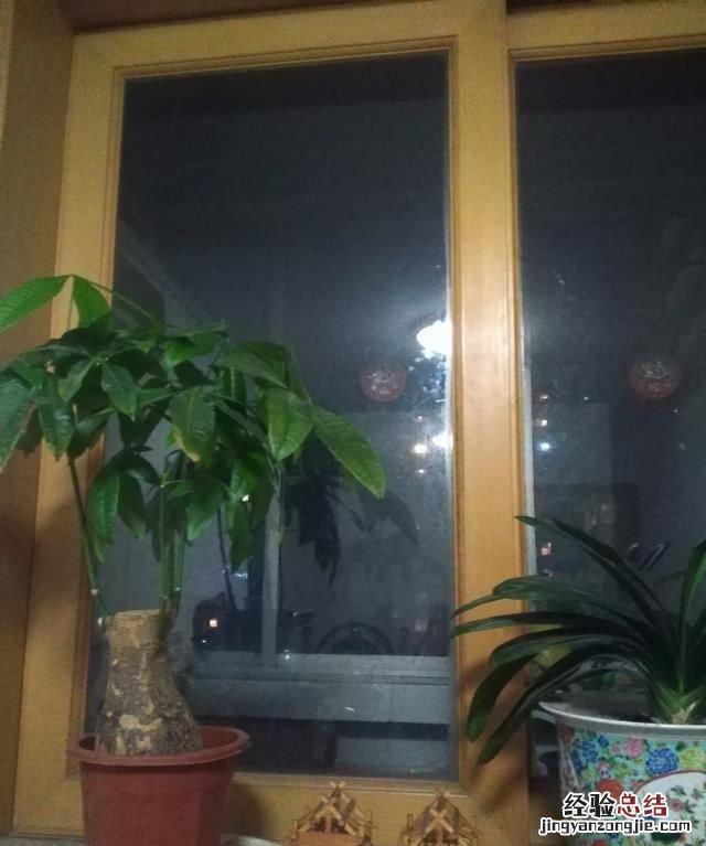 蝈蝈如何养,蝈蝈如何养好