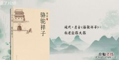 格局是什么意思