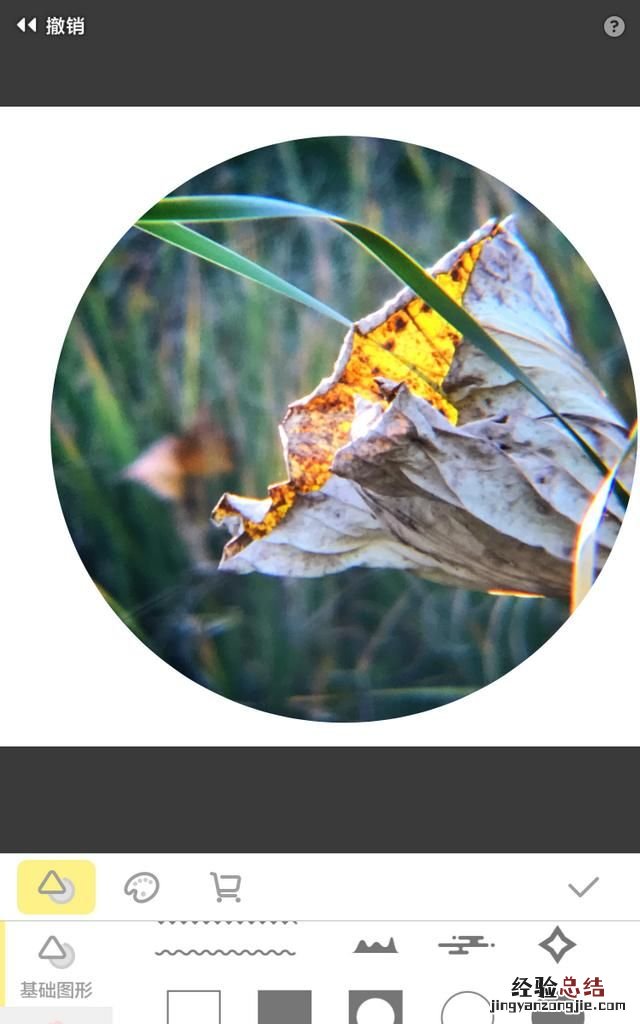 用什么软件可以做出圆形图片呢,用什么软件可以把图片弄成圆形