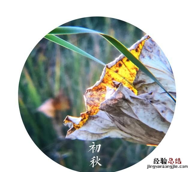 用什么软件可以做出圆形图片呢,用什么软件可以把图片弄成圆形