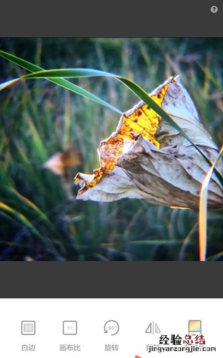 用什么软件可以做出圆形图片呢,用什么软件可以把图片弄成圆形