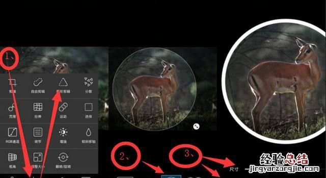 用什么软件可以做出圆形图片呢,用什么软件可以把图片弄成圆形