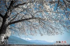 如何用ps 把照片做出红外摄影效果