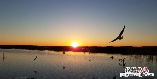 你手机里有日出的照片吗?是哪里拍的呢