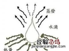 空调的功能越多越好吗 空调是什么工作原理