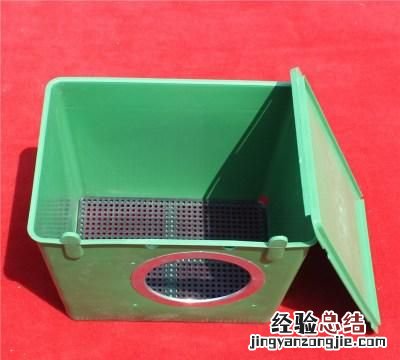 养兔子的基本常识
