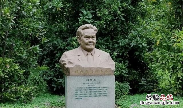 有植物熊猫之称的是什么东西
