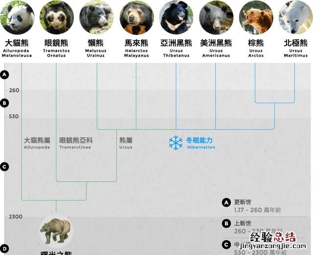 有植物熊猫之称的是什么东西