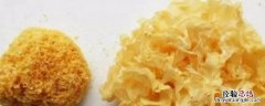 糯耳和银耳的区别