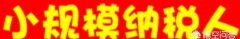 增值税小规模纳税人查账如何申报 增值税小规模查账征收怎么报税