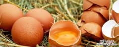 煮鸡蛋几分钟，水开煮鸡蛋几分钟