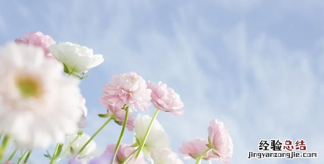 如何利用photoshop抠头发