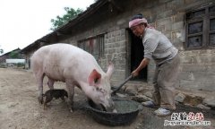 动感图片唯美伤感 唯美图片伤感图片
