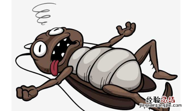 蟑螂是益虫还是害虫