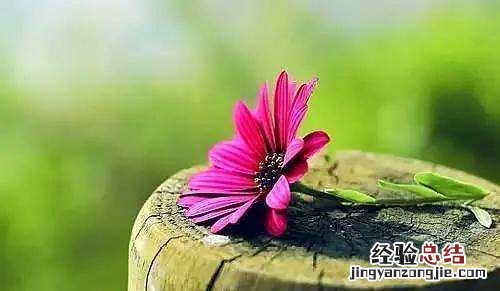 人字一撇一捺的含义,人这个字的来历是什么