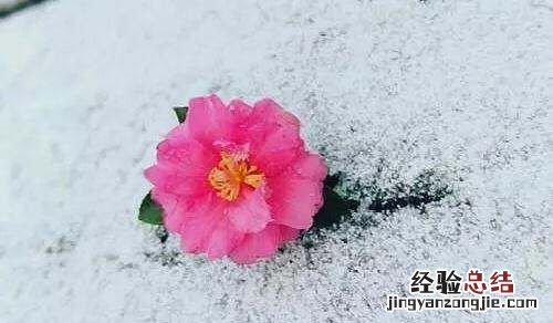 人字一撇一捺的含义,人这个字的来历是什么