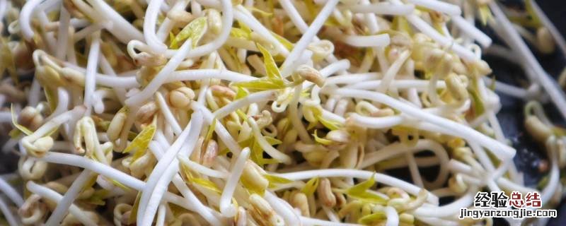 变绿的豆芽还能吃,自发绿豆芽放在冰箱里还能不能生长