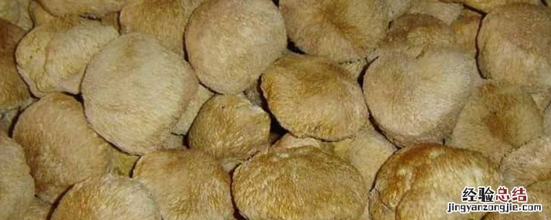 干猴头菇怎么吃,新鲜的猴头菇怎么做