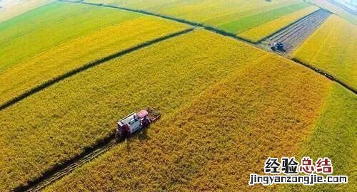 三农是指的哪三农,什么叫三农三农具体包括哪些内容