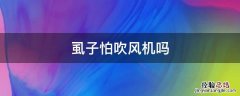 虱子怕吹风机，小孩头上长虱子用什么洗发水好