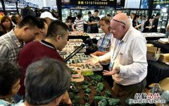 你收藏过不可一世的天然奇石吗,那些被外国人收藏的中国奇石