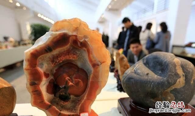 你收藏过不可一世的天然奇石吗,那些被外国人收藏的中国奇石