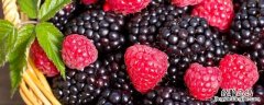raspberry是什么水果，有关于水果的英语单词