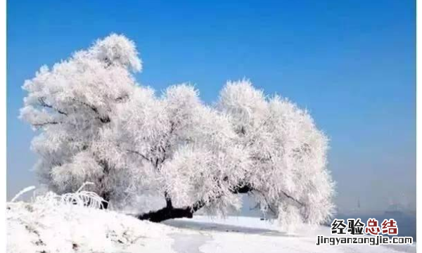 南方的雪和北方的雪各有什么特点