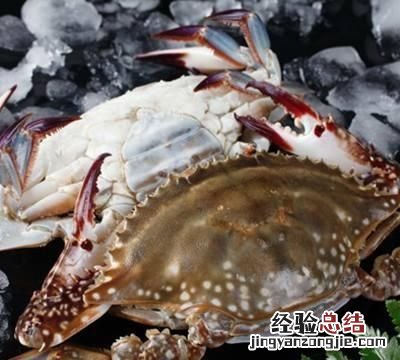 冻梭子蟹怎么做好吃百度百科