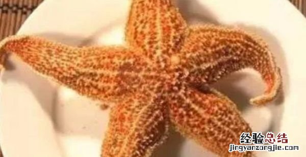 海星能吃，海星里面白色的颗粒能吃