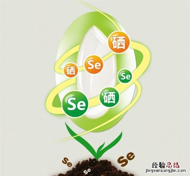 什么食物含硒高,什么食物和蔬菜含硒元素多