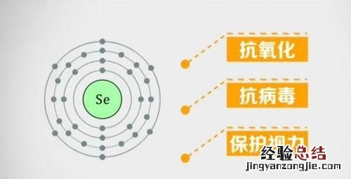 什么食物含硒高,什么食物和蔬菜含硒元素多