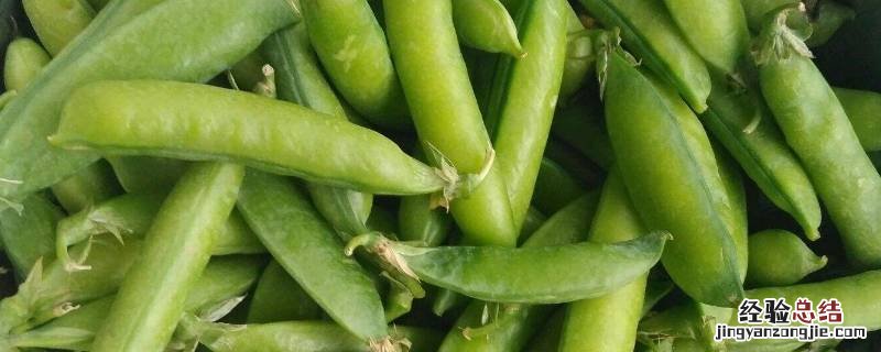 豆荚是什么