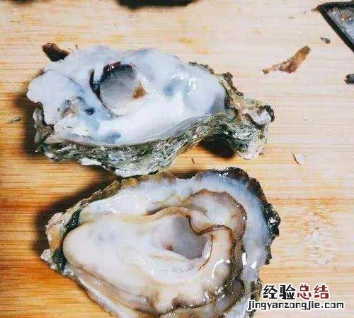 生蚝怎么看死活