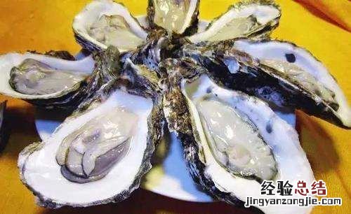 生蚝怎么看死活