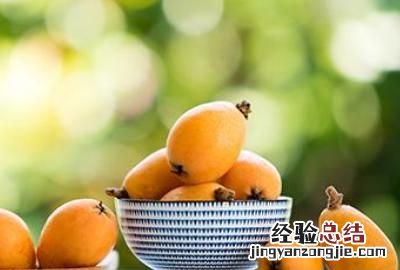独果是什么,枇杷是什么时候成熟