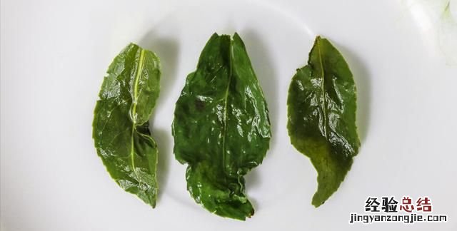 铁观音茶是绿茶吗,铁观音茶和绿茶