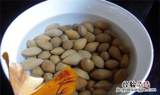 银杏怎么吃